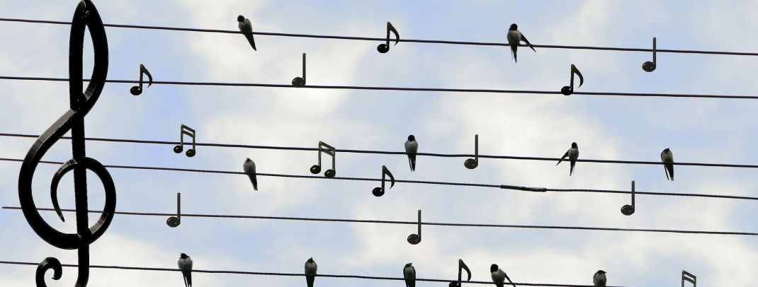 Die große Schlager HITPARADE
